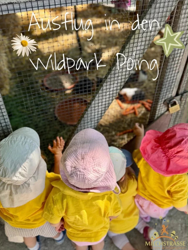 🌿🦌 Ausflug in den Wildpark Poing! 🐐☀️Unsere Roten Zwergensterne aus der Krippe hatten einen wunderschönen Tag voller Abenteuer. Gemeinsam haben wir die Tiere gefüttert, sie beobachtet, auf dem Wasserspielplatz geplanscht, geschaukelt, getobt und ganz viel gelacht. 💚Ein Tag voller Natur, Spaß und unvergesslicher Momente! 🥰#WildparkPoing #RoteZwergensterne #KitaAusflug #NaturErleben #GemeinsamEntdecken #Kinderlachen #Abenteuer